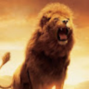 Meet your Posher, Raziel